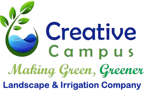 creativecampus.biz